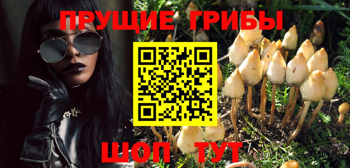 Гашиш  АМФ кристаллы  Киржач  Каннабис  МЕФ кристаллы  Вход с VPN  ГАШИШ 