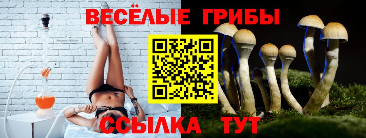 Галлюциногенные грибы Psilocybe  Вход с VPN  Киржач  Псилоцибиновые грибы мухоморы 