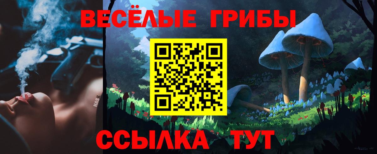 Псилоцибиновые грибы прущие грибы Киржач